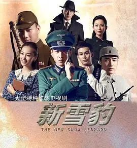 《雪豹坚强岁月》：烽火狼烟中的铁血柔情，浴火重生之路