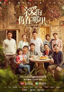 《亲爱的，你在哪里》：国产现实主义力作，拷问人性与社会冷漠，一场寻亲的艰难跋涉