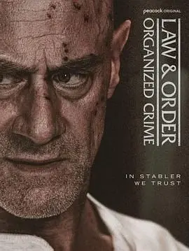 《法律与秩序：组织犯罪 第五季》：重拳出击！警探如何终结跨境犯罪帝国？